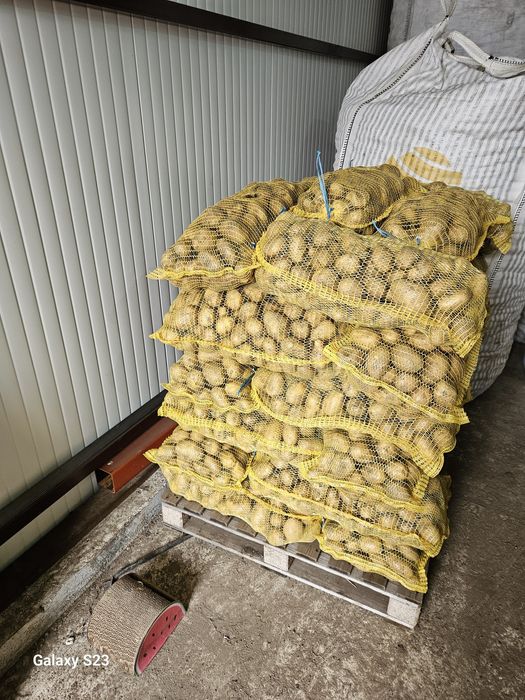 Картофи Сорая за консумация