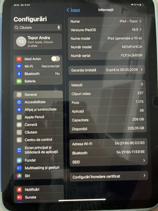 Apple Ipad 10 (2022)