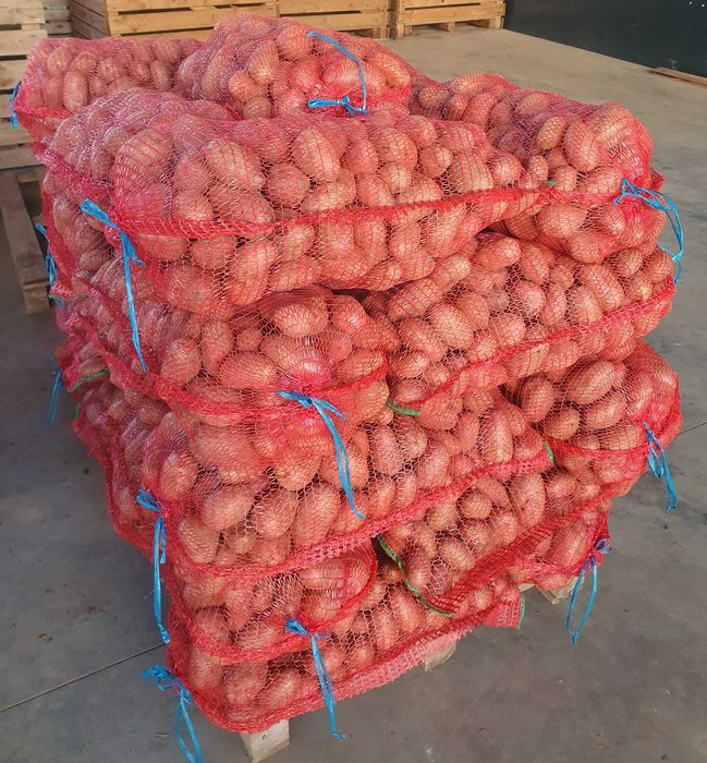 Cartofi Esmee, ambalat 06. dec. 2025