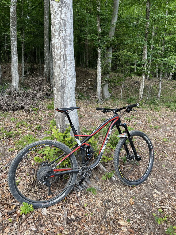 Bulls wild rush 1+/cadru L