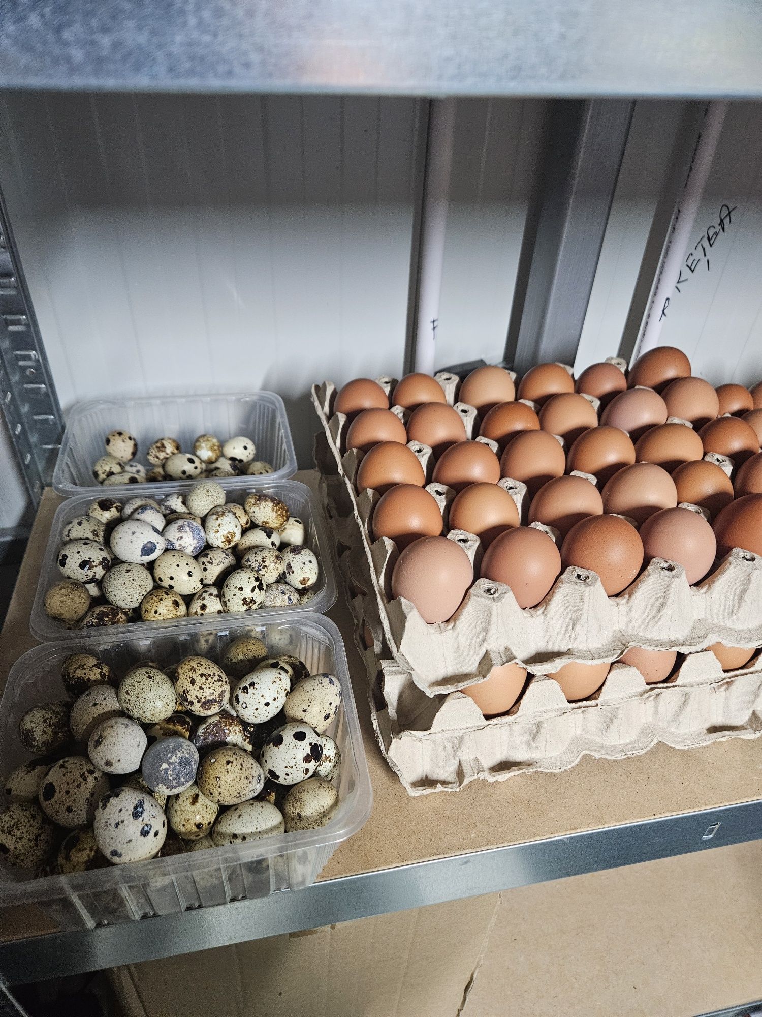 Oua proaspete pentru consum de prepelita și găină în Piatra Neamț