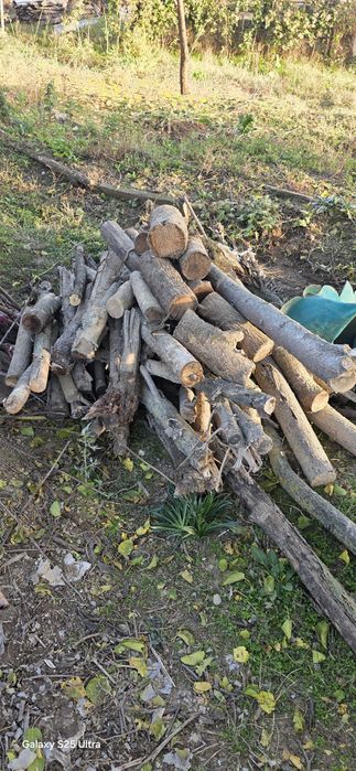 Дърва 50лв  всички от снимкатаа