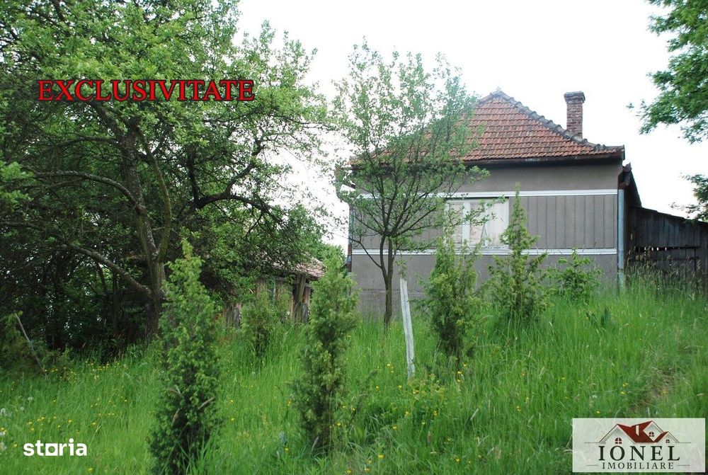 Casa cu 47.880 mp teren in Vintu de Jos - Mereteu