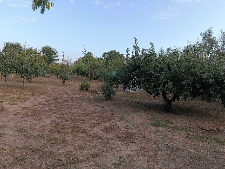 Vând Casă! Segarcea Deal!