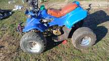 Vand  sau schimb Atv 125cc