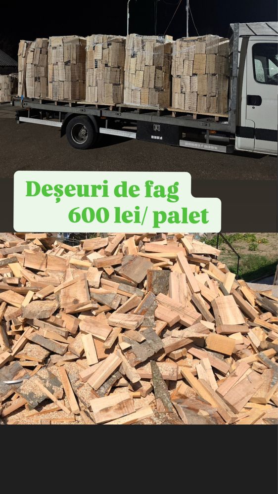 Lemne de foc / deseuri fag / paletizate