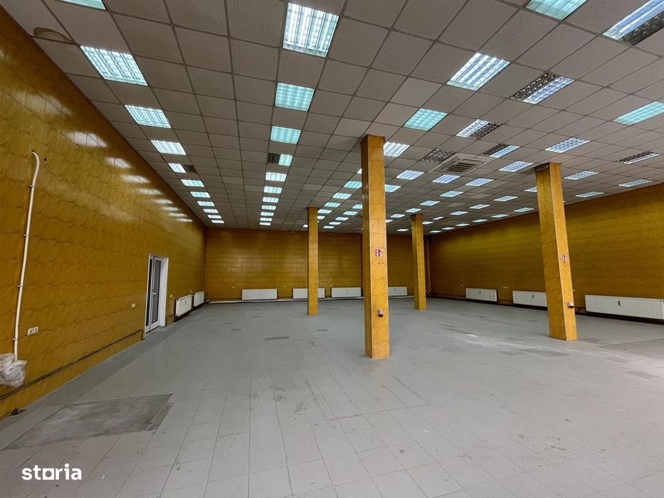 Spațiu industrial și birouri de închiriat – zona Terezian