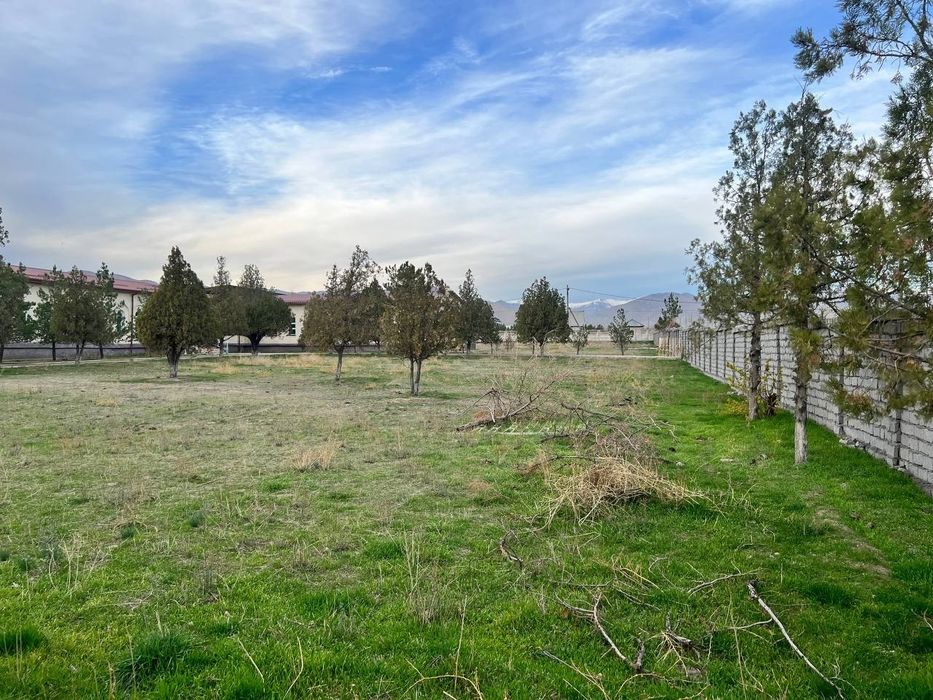 Angrenda srochna zavod sotiladi 1 gektar 10 sotik