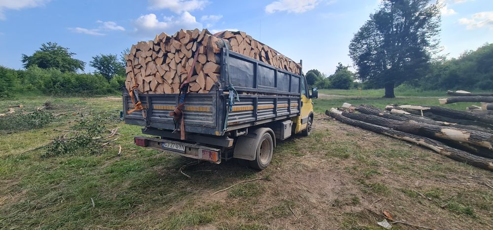 Lemne uscate pentru foc
