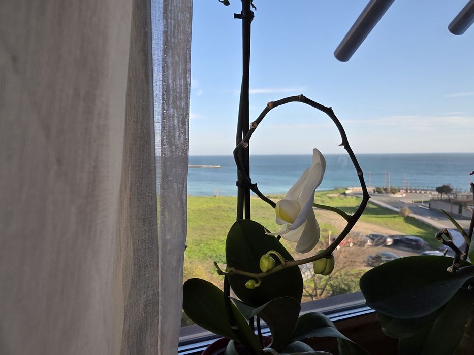 Apartament 4 camere, Faleza Nord - cu vedere la mare