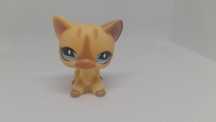 Pisica shorthair originala lps littlest pet shop hasbro