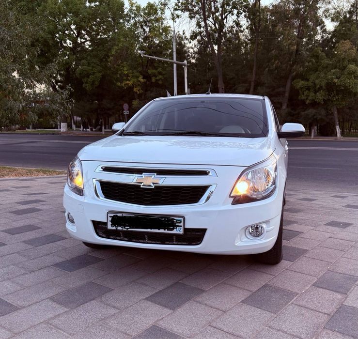 Koblt KRASKA TOZA 2024 Cobalt