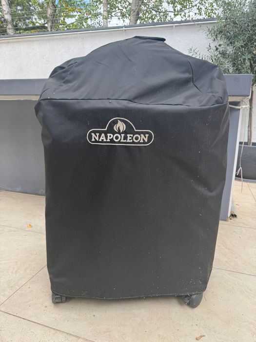 Gratar Napoleon pe carbuni