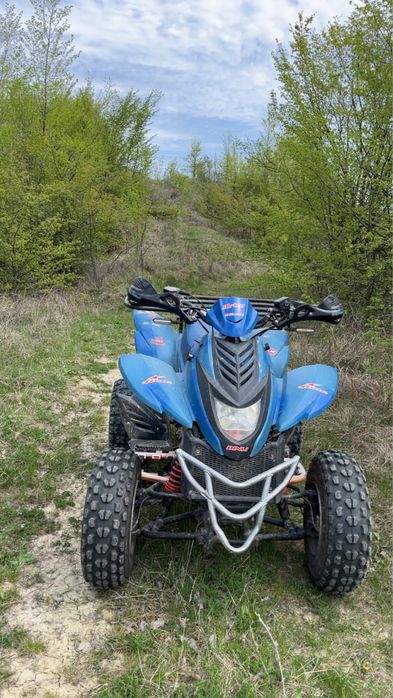 Atv dinli 801 300cc
