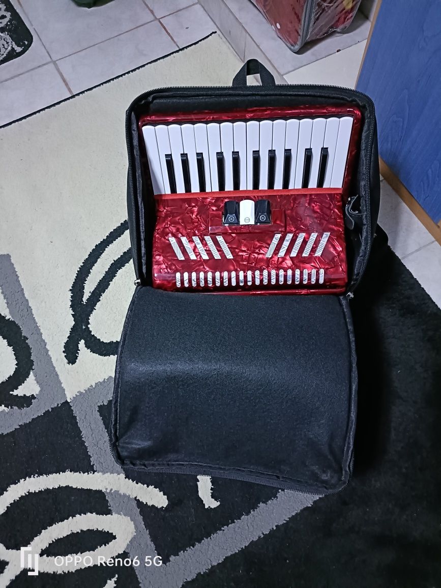 Acordeon  parot nou