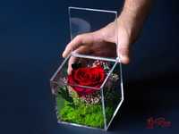 Истинска Вечна Роза в Кутия / Уникален Подарък за Рожден Ден на Жена