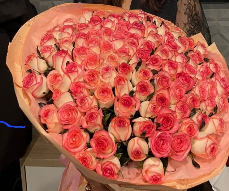 101роза цветы. арзан беремин.*101