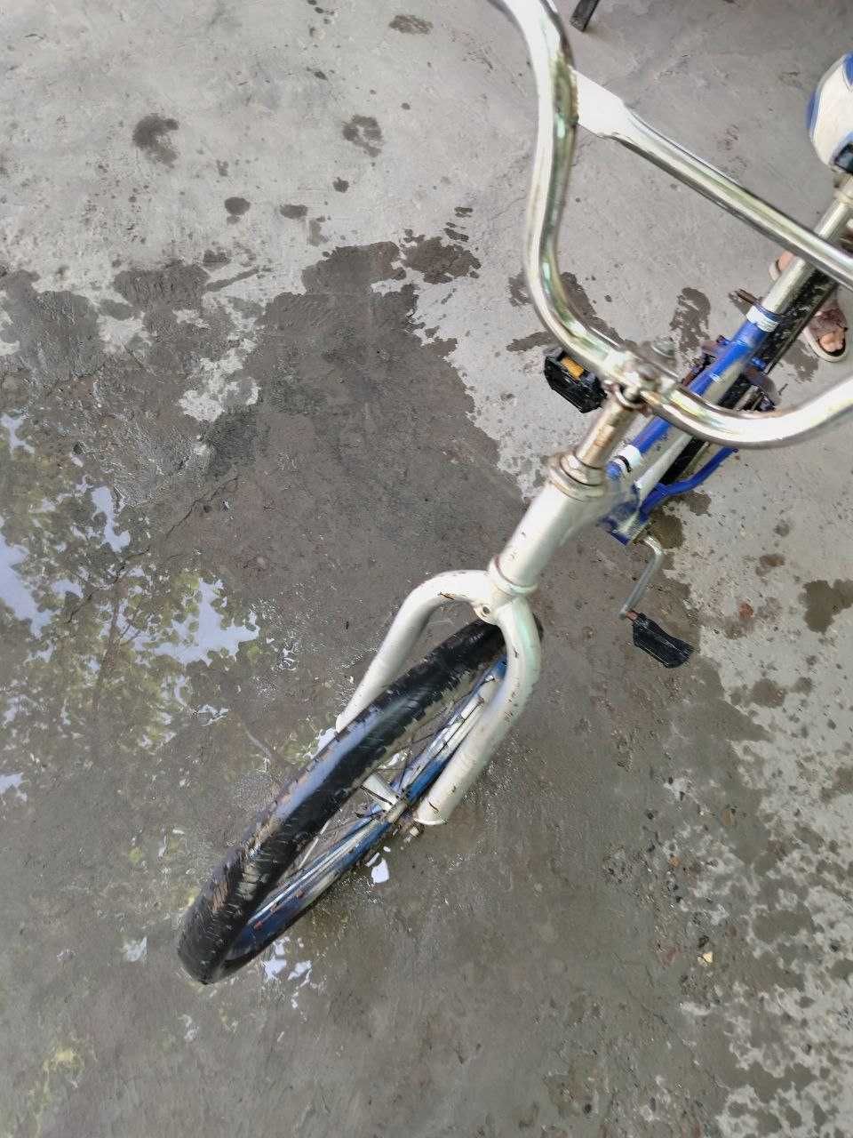 Velik sotiladi  juda arzon narxda
