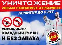 Дезинфекция Дизинфекция Дизинфексиялапа и таракан