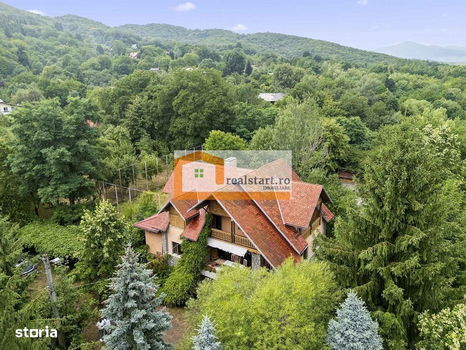 Pet Friendly, Vedere Padure, 5000mp teren, D+P+1E+M, semineu, foisor