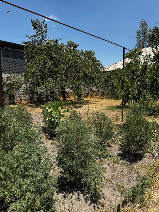 Ер участкиси сотилади