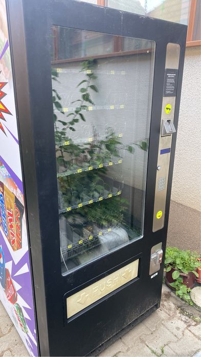 Tonomat si vitrina de vannzare