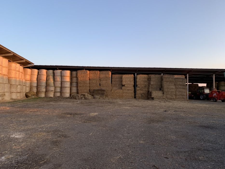 Baloti paie patrati 1200x700x2400