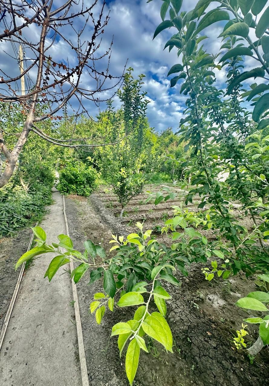 Продам дачу с домом С/о Химик