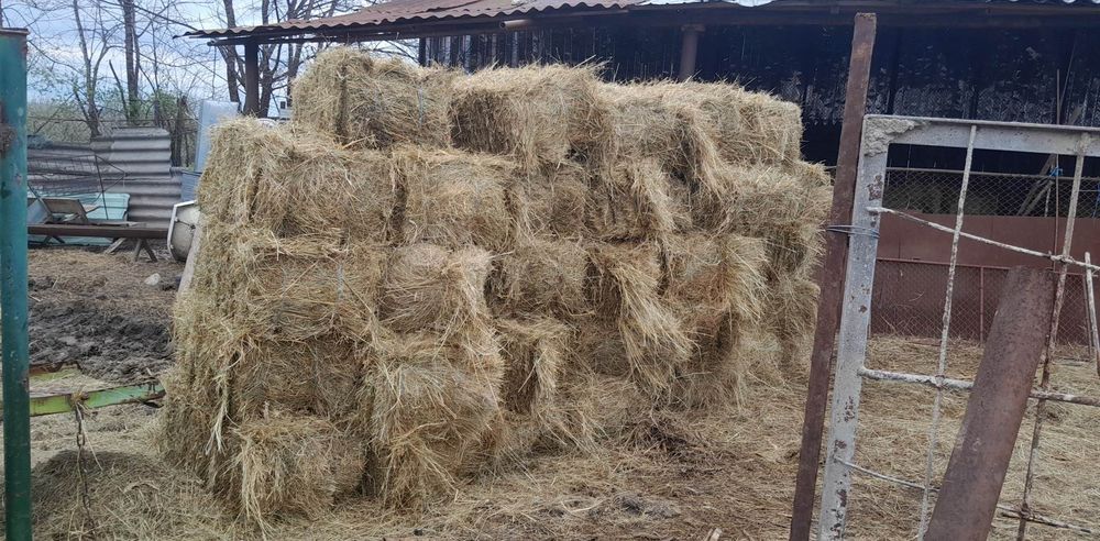 Baloți de fâneață