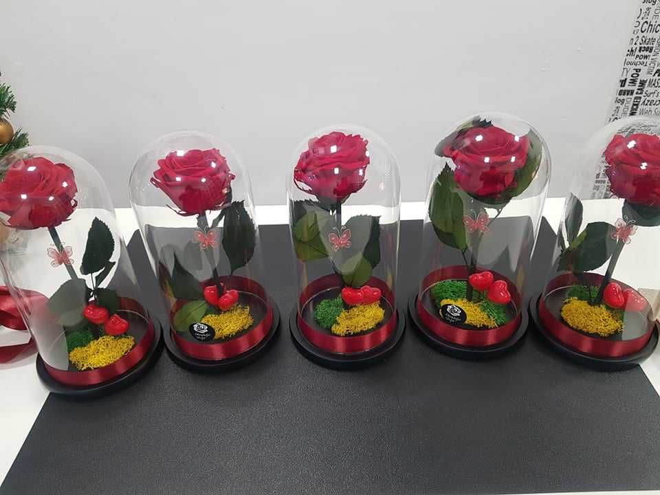 Livrare gratuita azi Bucuresti  trandafiri criogenati rosii