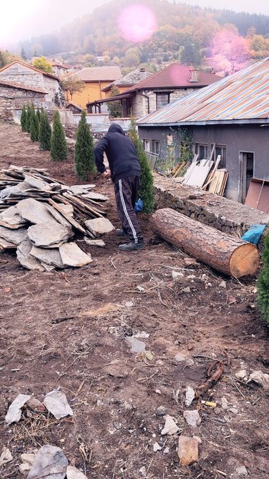 Туя смарагд перфектни 160см