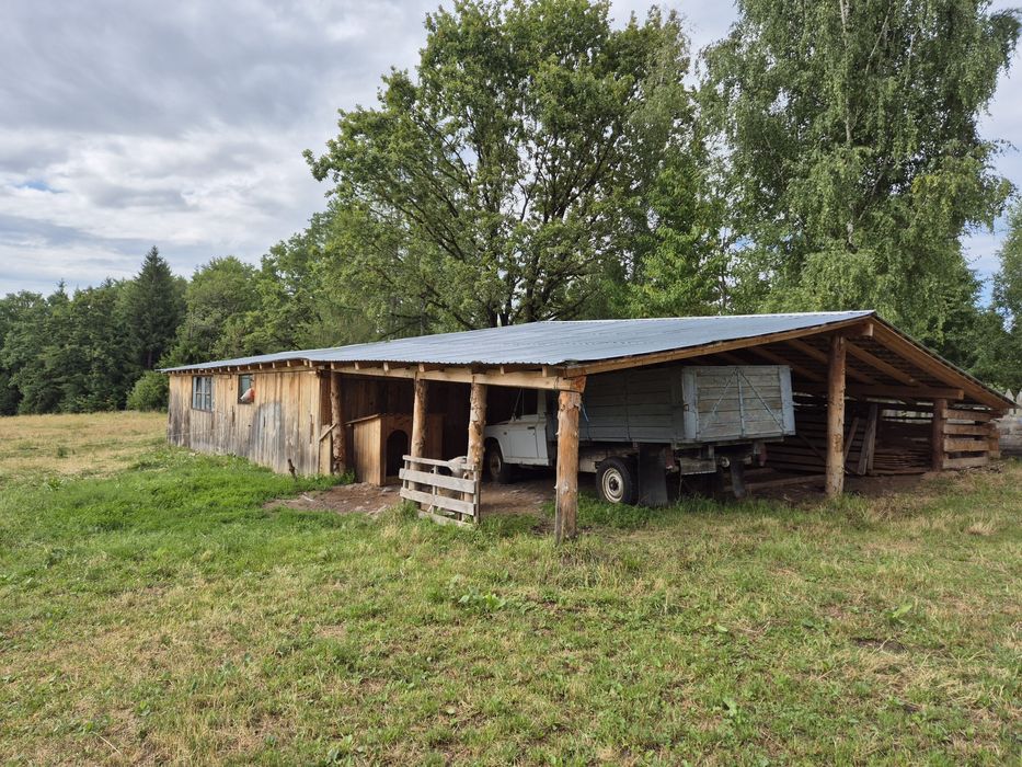 Vand saivan dimensiuni 20/8 m
