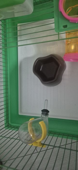 Cusca hamster echipata