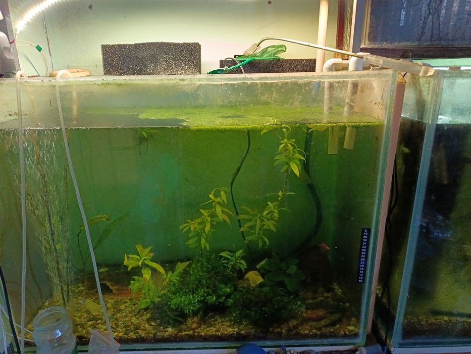 Продам два аквариума со стойками,