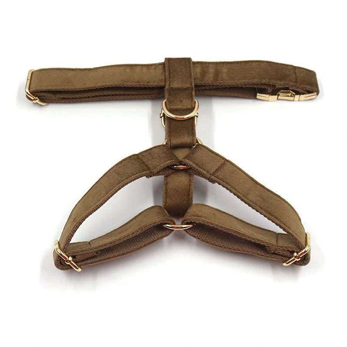 Set complet 6 piese , catifea premium, pentru caini