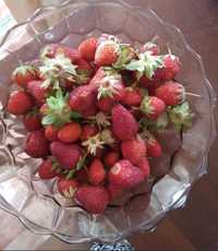 Свежезамороженная мороженные замороженные ягоды жидек клубника малина