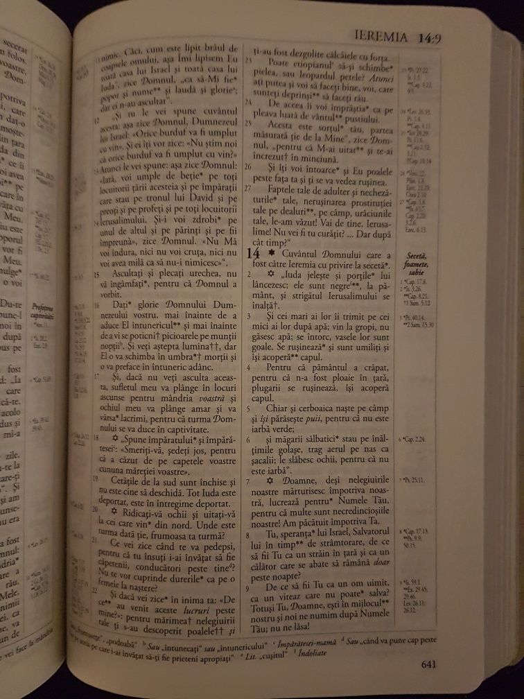 BIBLIA Traducere Literală, Ediție de Lux