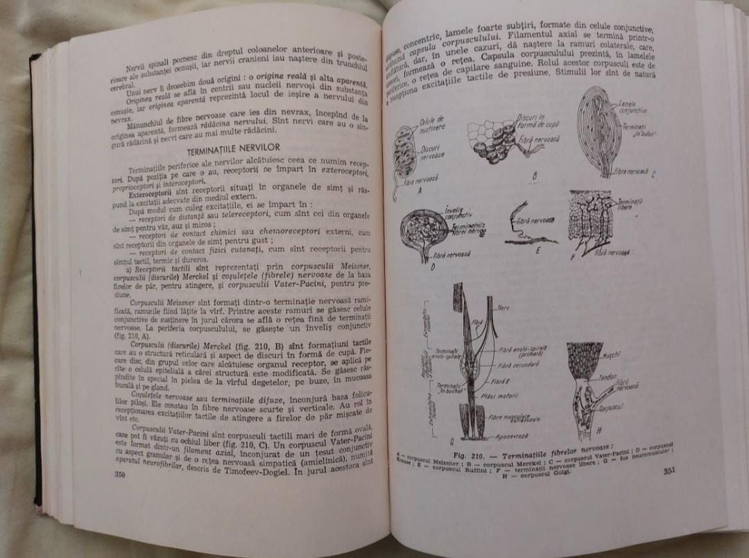 Carte anatomia si fiziologia omului