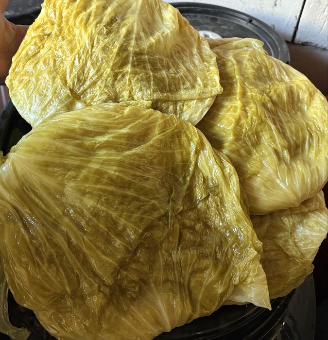 varza, castraveti murati ardei cu varza