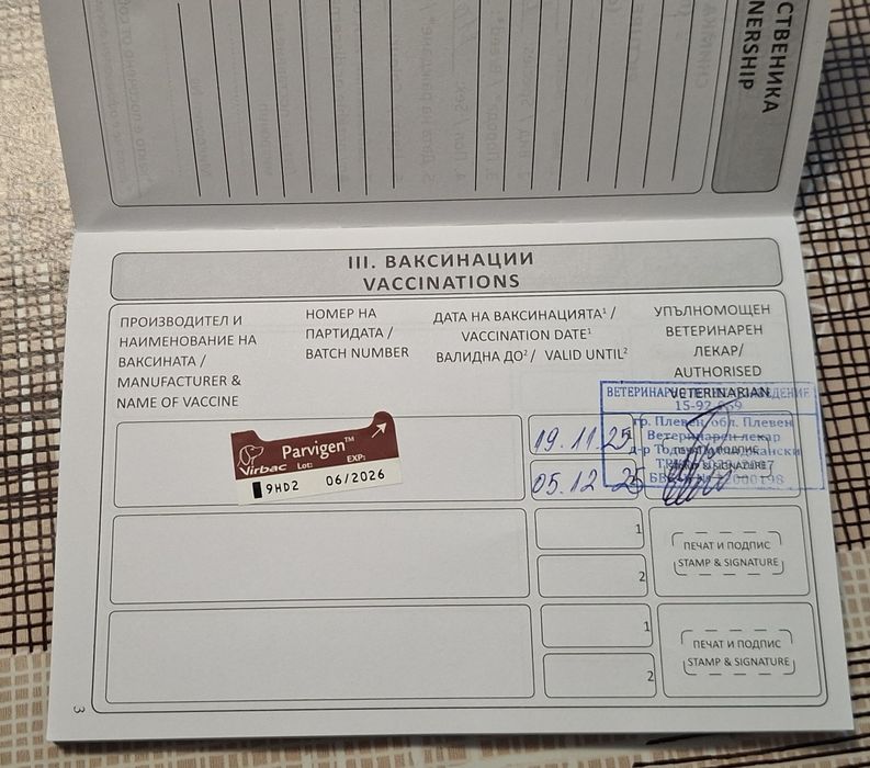 Продавам мини Йорки