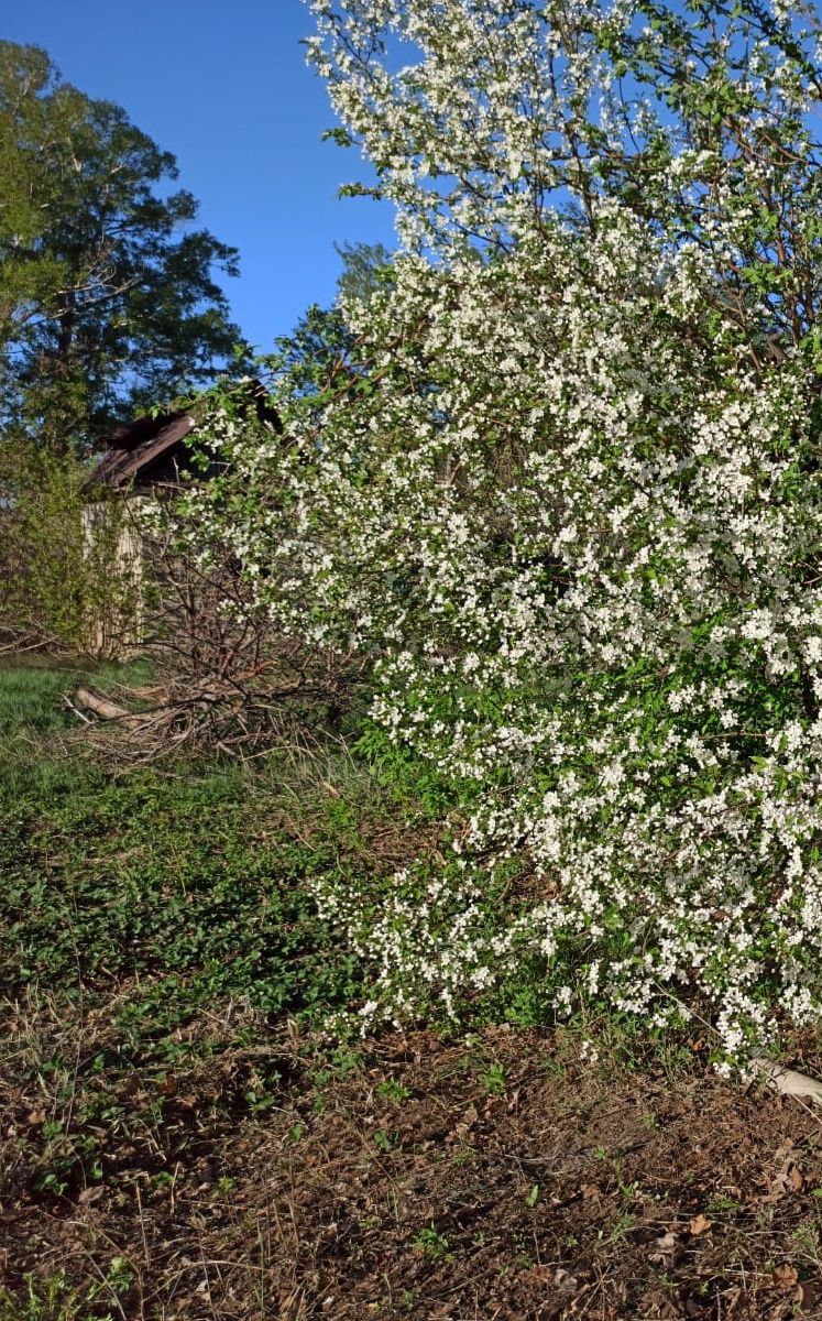 Продам дачу в Актобе, Атжт-2