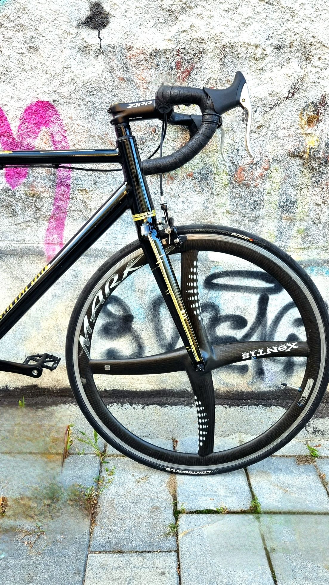 Bicicleta SantaFixie single speed proiect custom unicat cursiera