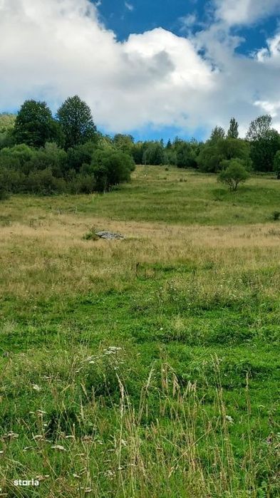 Teren 15.000mp, case de tip A/casa de vacanta ,zona Baisoara jud Cluj