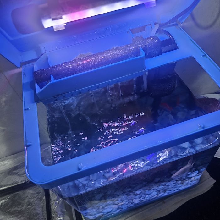 Akvarium sotiladi / Аквариум сотилади