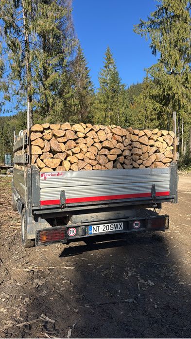 Lemn de foc fag taiat la dimensiunea dorita