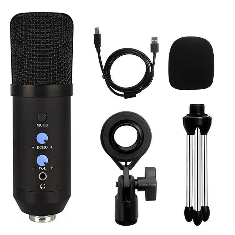 Microfon Profesional de Studio Condenser Riwral LRu700