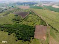 Teren arabil de 2009 hectare în Mureş