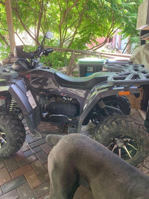 Продам квадроцикл в отличном состоянии