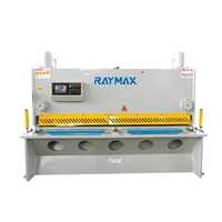 RayMax Шинорез Лазерная установка