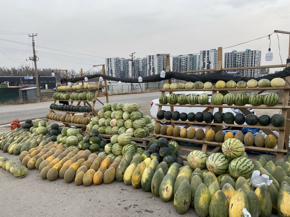 Арбуз 300 тнг, Дыня 600 тнг